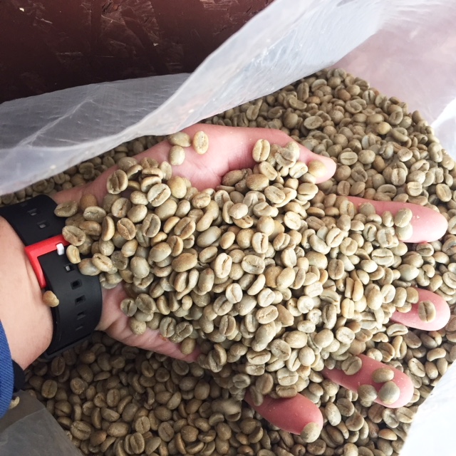 コスタリカのコーヒー豆