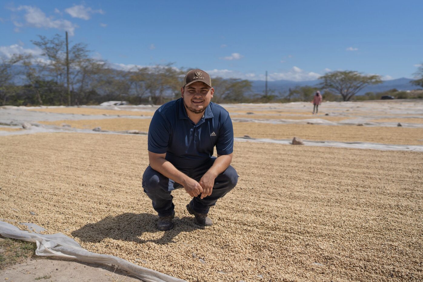 スクリーンショット 2026-03-14 154846 | chouette torréfacteur laboratoire Honduras, coffee, Honey