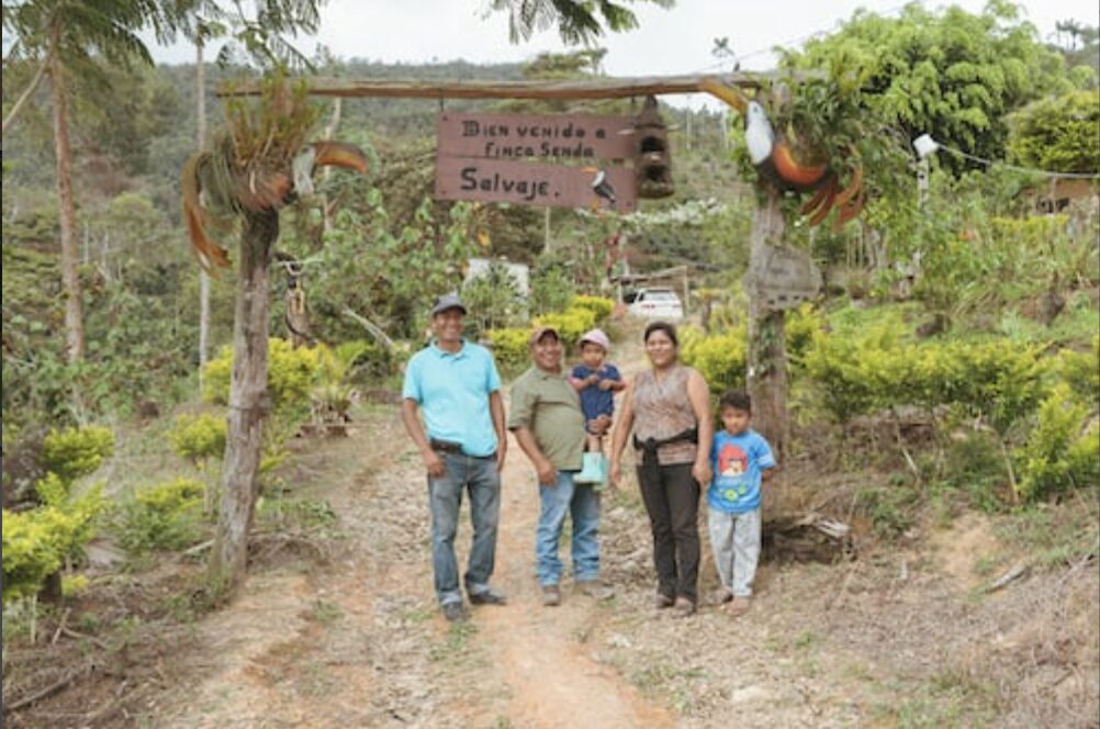 スクリーンショット 2026-03-14 155510 | chouette torréfacteur laboratoire Bolivia, coffee